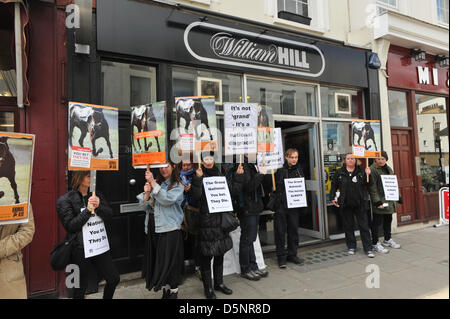 Victoria, London, UK. 6. April 2013. Demonstranten gegen die Pferderennen halten Plakate außerhalb ein Wettbüro vor dem Grand National Rennen. Demonstration gegen das Grand National Rennen außerhalb eines William Hill Wetten Shop. Bildnachweis: Matthew Chattle / Alamy Live News Stockfoto