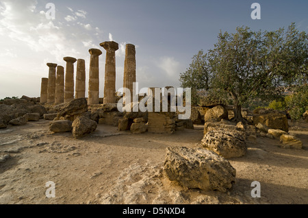 Überreste der Tempel des Herakles im Tal der Tempel, Agrigent-Sizilien Stockfoto