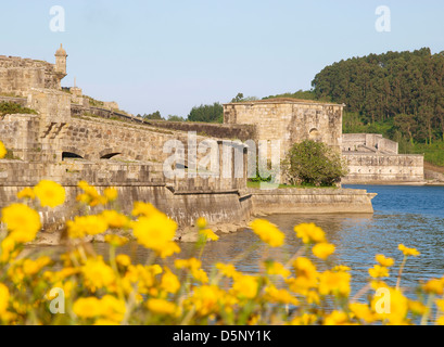 Schloss San Felipe mit verschwommenen Blumen im Vordergrund. Stockfoto