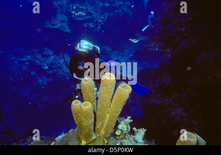 Kaimaninseln Sept 1994 digitale Folien, Konvertierungen, Tauchen, Taucher, Coral, Unterwasser Fotografie, Cayman-Inseln, Karibik Stockfoto