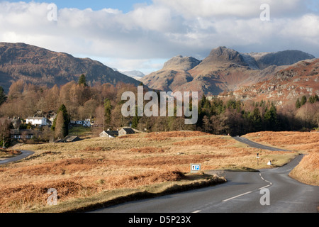 Die Aussicht vom Elterwater in Richtung Langdale Pikes Stockfoto