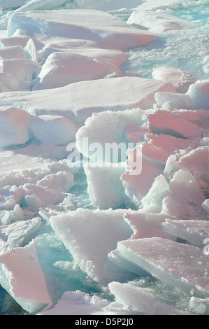 Dieses Bild zeigt ein traditionelles Coast Salish Kanu mit Schwerpunkt auf der Überwachung der Wasserqualität. Die Bewohner der Coast Salish sind bekannt für ihre maritime Kultur, und dieses Kanu repräsentiert ihr reiches Erbe und seine Verbindung zum Meer. Stockfoto