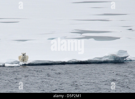 Die Küstenwache Cutter St. Laurent, ein USCG-Schiff, überwacht die Wasserqualität in der Arktis. Dieses Bild zeigt ein traditionelles Coast Salish Kanu, das in den Küstengebieten des pazifischen Nordwestens verwendet wird und sowohl Umweltüberwachung als auch indigenes Erbe symbolisiert. Stockfoto