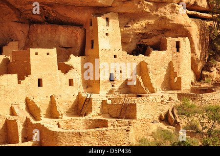 Cliff Palace Mesa Verde USA Stockfoto