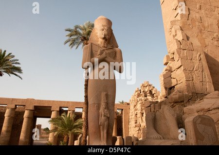 Statue des Ramses II Karnak Tempelkomplexes Luxor Ägypten Stockfoto