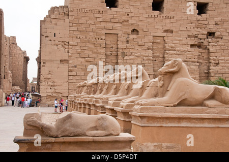 Sphinxen mit Ziege Kopf am Eingang des Tempels Amun Karnak Luxor Südägypten Stockfoto