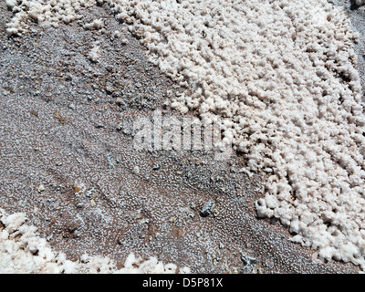 Die Telouet Salz Minen auf dem alten Kamel-Karawane-Trail von Ouarzazate nach Marrakesch, Marokko, Nordafrika Stockfoto