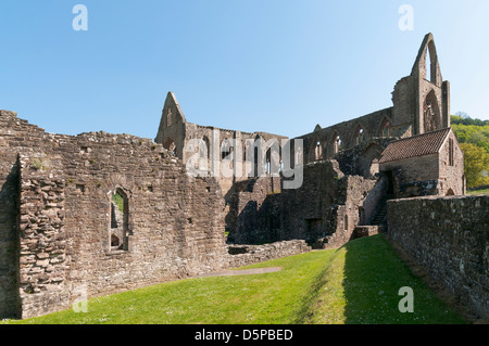 Wales, Monmouthshire, Tintern Abbey Ruinen 13. Jahrhundert Stockfoto