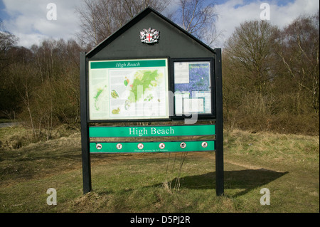 Hohe Buche Epping Forest Essex England UK Europa Stockfoto