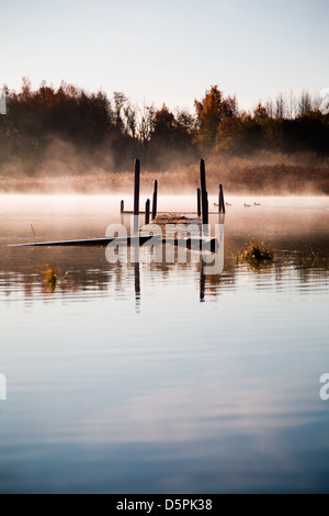 Schöner Morgennebel am See Stockfoto