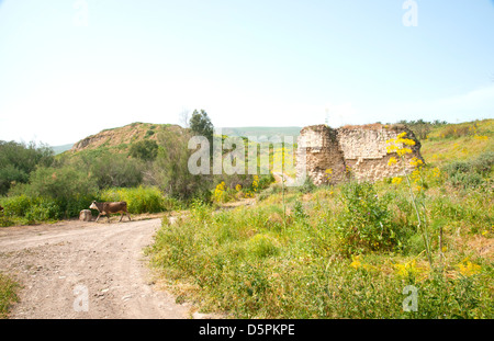 Tel Ubeidiya befindet sich 3 km südlich von See Tiberias Stockfoto