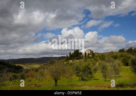 Einen klassischen Blick auf Podere in der Toskana Stockfoto