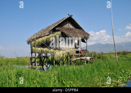 Traditionelle Landwirtschaft Hütte auf Stelzen, Inle-See, Shan State in Myanmar, Südostasien Stockfoto