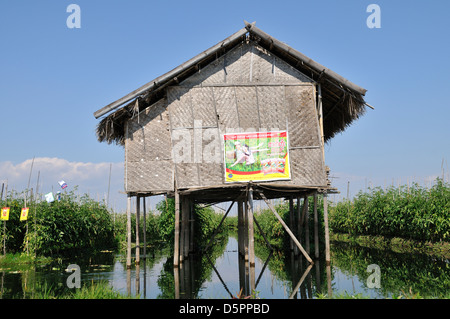 Traditionelle Landwirtschaft Hütte auf Stelzen, Inle-See, Shan State in Myanmar, Südostasien Stockfoto