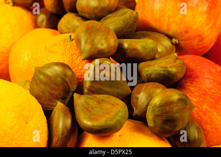 Winter-Obstschale von Äpfeln, Orangen und Kastanien Stockfoto