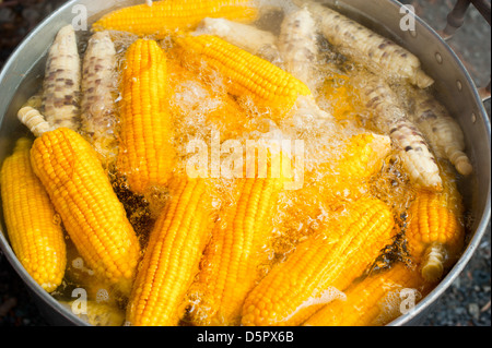 Mais-Ohr Kochen im Topf am freien Markt. Thailand Stockfoto