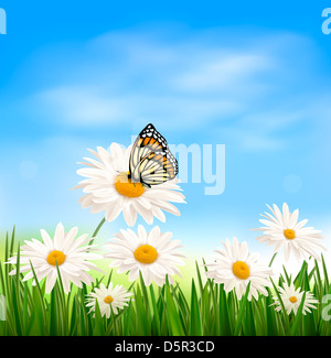 Natur-Hintergrund mit grünem Rasen und Schmetterling Stockfoto