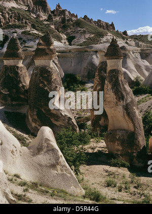 Hoodoos an Paşa Bağı, in der Nähe von Göreme, Türkei 000518 0902 Stockfoto