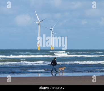 Mann zu Fuß Hund am Strand von Coatham Redcar, Nord-Ost-England. Offshore-Windenergieanlagen im Hintergrund Stockfoto