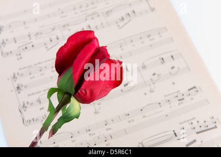 ein Notenblatt mit einer roten rose Stockfoto