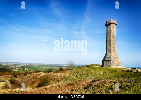 Das Hardy Denkmal auf schwarzer unten am Porchester in der Nähe von Dorchester in Dorset Stockfoto