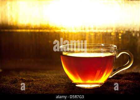 Tasse Tee steht auf getrocknete Blätter Stockfoto