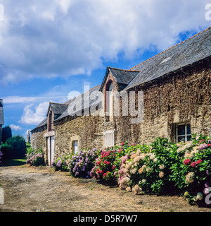 Blühenden Bauernhof Brittany France Stockfoto