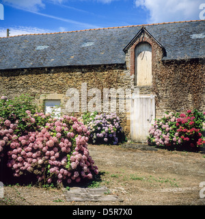 Blühenden Bauernhof Brittany France Stockfoto