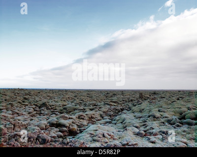 Lavafeld bedeckt in grünem Moos, Südisland, Icleland Stockfoto