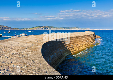 Die Cobb bei Lyme Regis Dorset England UK GB EU Europe Stockfoto