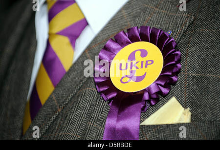 Die UKIP ROSETTE & UKIP binden dem Führer der Unabhängigkeit von Großbritannien 8. April 2013 ANGLIKANISCHEN SCARBOROUGH SPA SCARBOROUGH SÜDBUCHT Stockfoto