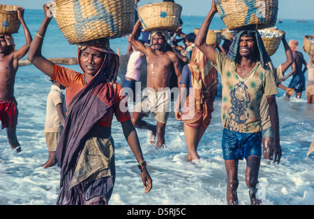 Männliche und weibliche Träger, die Fische in Körben auf ihren Köpfen von Fischerbooten an Land tragen. Kerala, Südindien Stockfoto