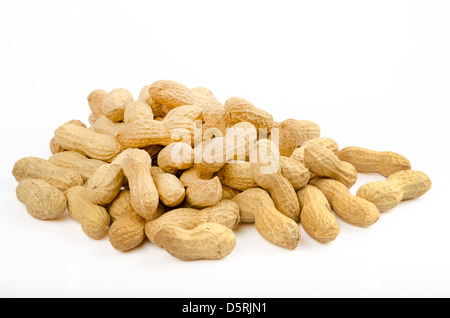 Viele Erdnüsse in Schalen auf weißem Hintergrund Stockfoto