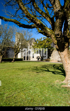 Ruinen des alten Bischofspalastes, Llandaff, Cardiff, Wales. Stockfoto