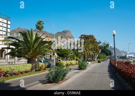 Avenida de Aniga Küstenstadt Boulevard Santa Cruz-Teneriffa Insel der Kanarischen Inseln-Spanien-Europa Stockfoto