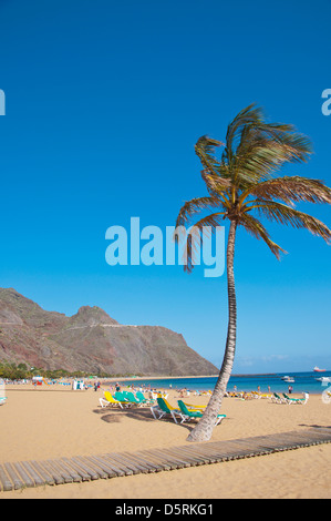 Playa de Las Teresitas Strand San Andres Stadt Insel Teneriffa Kanarische Inseln-Spanien-Europa Stockfoto