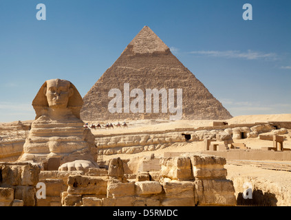 Die große Sphinx mit der Pyramide von Khafre hinter und eine Reihe von Kamelen von Gizeh in Ägypten Stockfoto