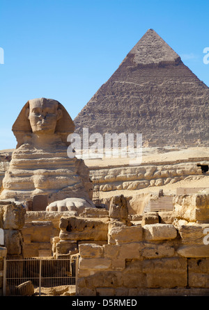 Die große Sphinx mit der Pyramide von Khafre hinter von Gizeh in Ägypten Stockfoto