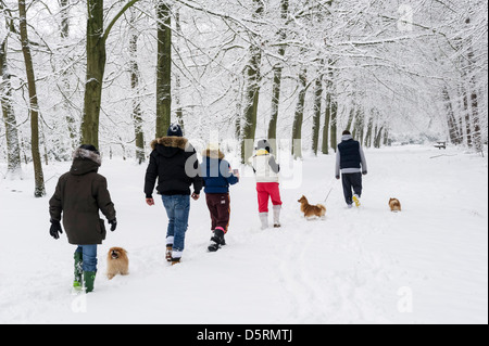 Familienhund zu Fuß durch den Schnee in Thorndon Country Park, Brentwood, Essex, England, UK Stockfoto