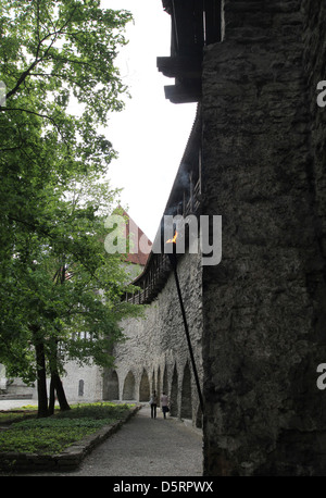 Mittelalterlichen Stadtmauer angrenzend an den Dänenkönig Garten in Tallinn Estland Stockfoto