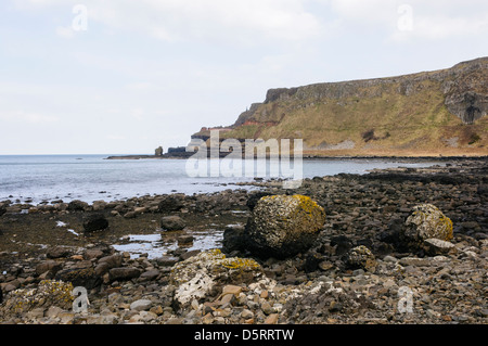 Das Amphitheater am Giant's Causeway Stockfoto