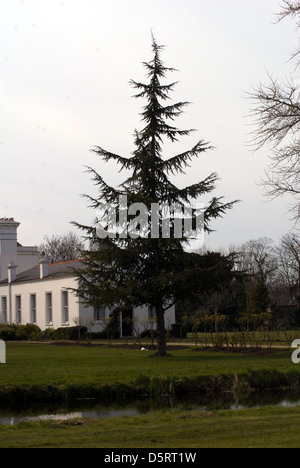 Morden Hall Park, London, UK Stockfoto