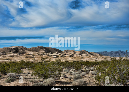 Kelso Sanddünen in Mojave National Monument mit einer schönen dramatischen Himmel im Hintergrund Stockfoto