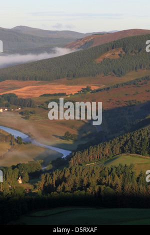 Sommermorgen Nebel über den Tweed Vally in der Nähe von Walkerburn Stockfoto