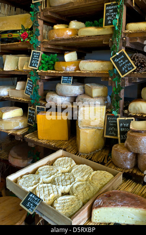 VON FROMAGERIE handgefertigte französische Käsesorten werden in der charmanten, stimmungsvollen, handwerklichen Fromagerie-Käserei „Caseus“ Montreuil sur Mer Nordfrankreich ausgestellt Stockfoto