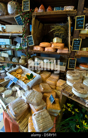 Französische artisan cheese shop mit Auswahl von eigenen handgemachten Käse auf Anzeige in der Artisan fromagerie Käse Shop "Caseus "Montreuil-sur-Mer Frankreich Stockfoto