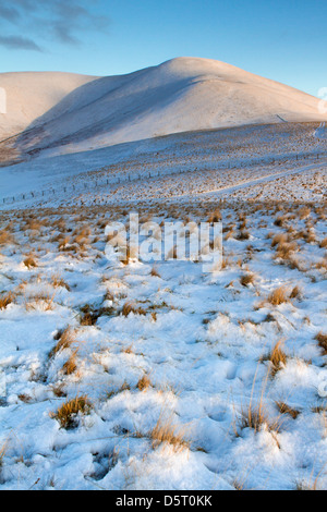 Winter-Licht über 'Trahenna', Scottish Borders Stockfoto