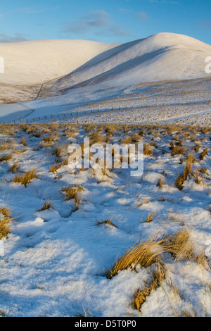 Winter-Licht über 'Trahenna', Scottish Borders Stockfoto