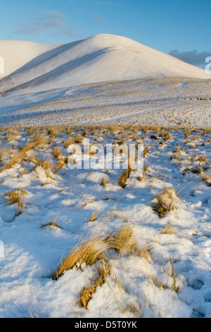 Winter-Licht über 'Trahenna', Scottish Borders Stockfoto