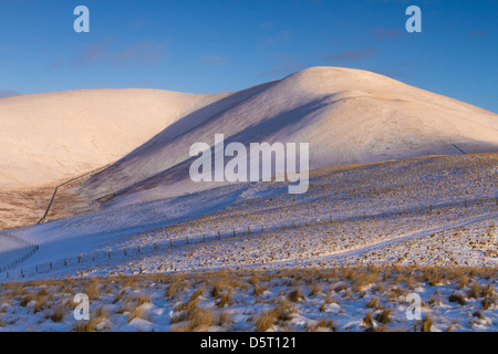 Winter-Licht über 'Trahenna', Scottish Borders Stockfoto